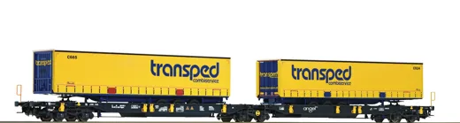 Doppeltaschen-Gelenkwagen, WASCOSA, Privatbahn
