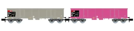 SBB 2 Hochbordwagen Eoas grau und pink mit Schrott