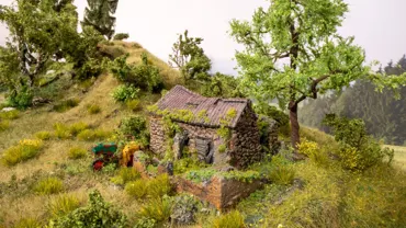 *Vergessener Ort - Gebäuderuine