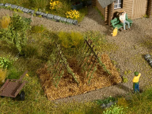 *Deko-Minis Bohnenranken