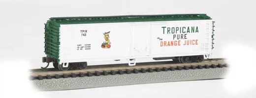 50' Steel Rfr Tropicana#1