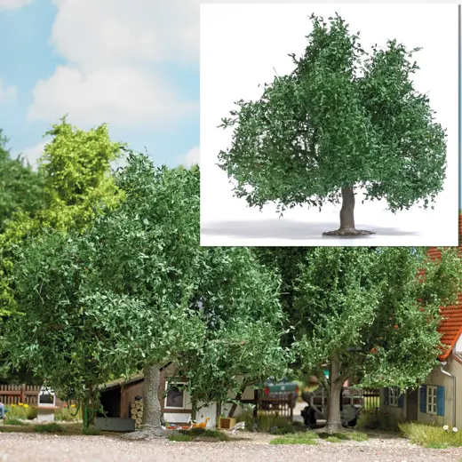 Obstbaum/kleine Eiche 95 mm, Sommer