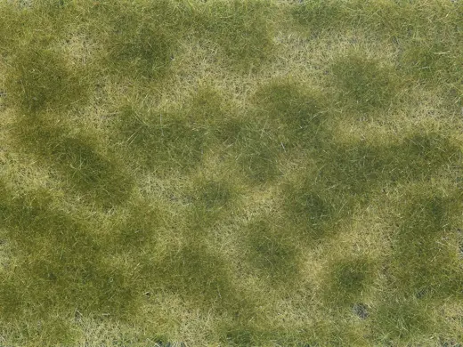 Bodendecker-Foliage grün/beige 12 x 18 cm