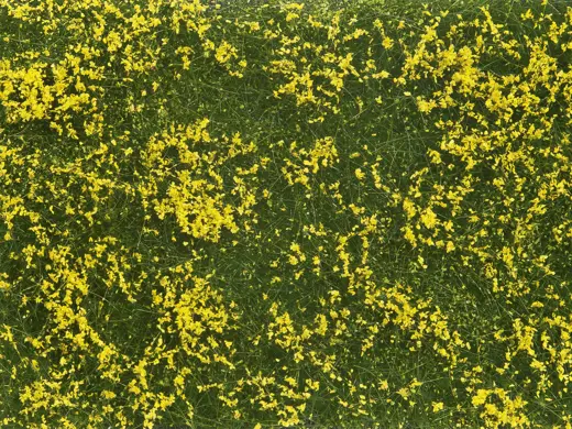 Bodendecker-Foliage Wiese gelb 12 x 18 cm