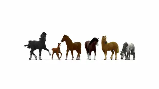 Pferde, 3D-Farbdruck