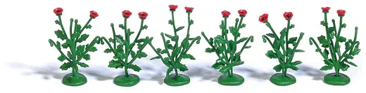 40 Klatschmohn