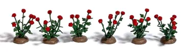 36 Rosen, fertig montiert