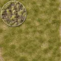 BU3533-20.jpg