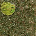 BU3543-20.jpg