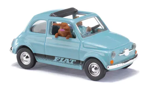 Fiat 500 mit Fahrer und Hund