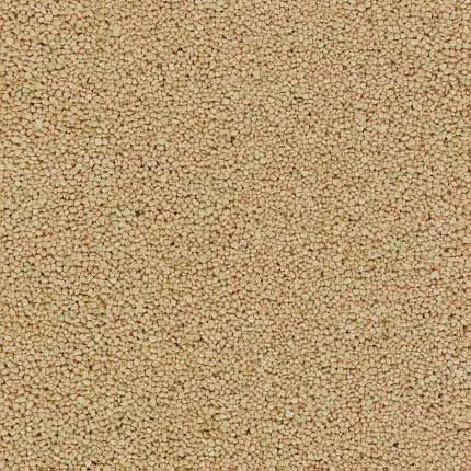 Schotter beige