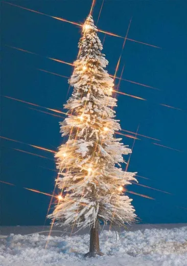 Weihnachtsbaum