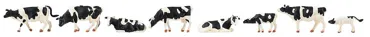 Kühe, schwarzbunt