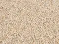 FA170302-10.jpg