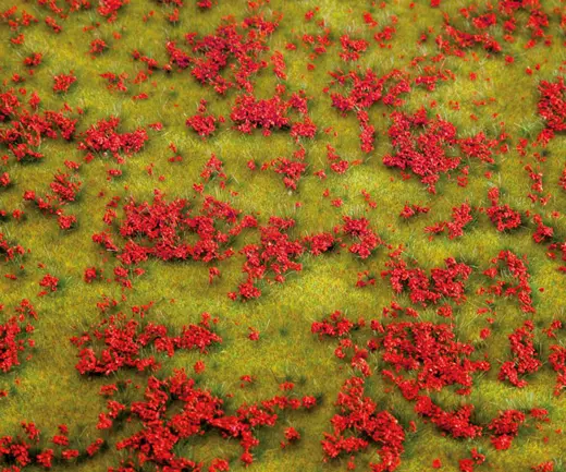 PREMIUM Landschafts-Segment, Blumenwiese, rot