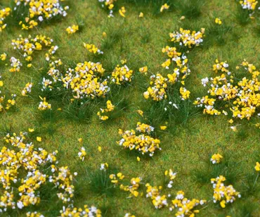 PREMIUM Landschafts-Segment, Blumenwiese, bunt