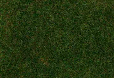 PREMIUM Streufasern, Gras, dunkelgrün, 6 mm, 30 g