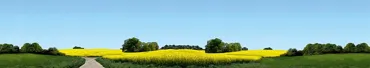 Modellhintergrund Ostholstein