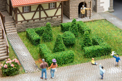 Buchsbaum