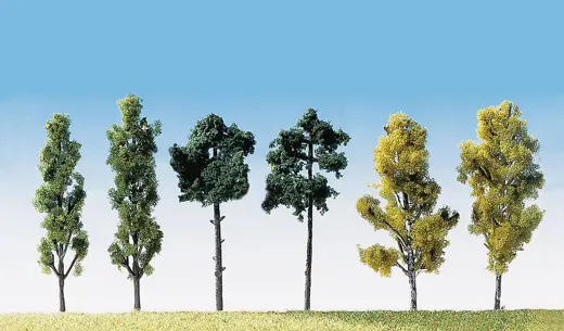 6 Bäume, sortiert