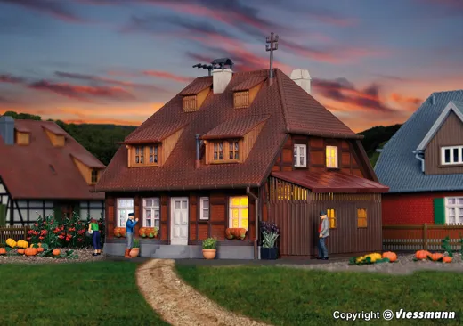 38209 H0 Haus Mühlenweg im Spreewald inkl. Hausbeleuchtungs-Startset