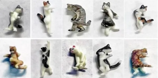 Ninja-Katzen