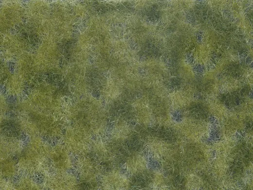 Bodendecker-Foliage mittelgrün 12 x 18 cm