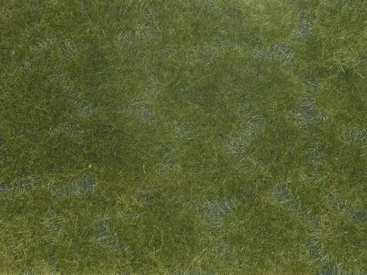 Bodendecker-Foliage dunkelgrün 12 x 18 cm