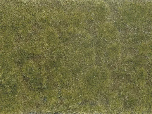Bodendecker-Foliage grün/braun 12 x 18 cm