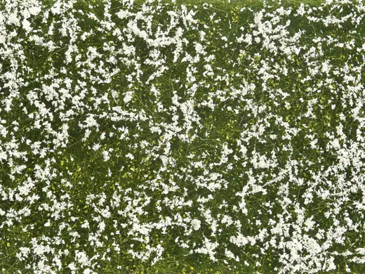 Bodendecker-Foliage Wiese weiß 12 x 18 cm