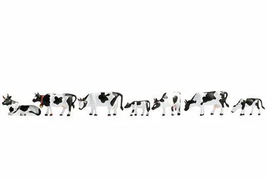 Kühe, schwarz-weiß