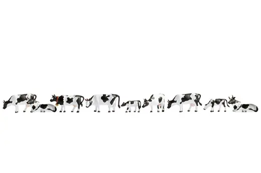 Kühe schwarz-weiß
