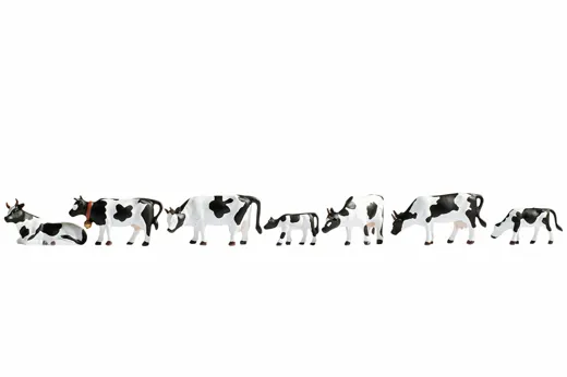 Kühe schwarz-weiß TT