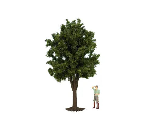 Obstbaum 30 cm