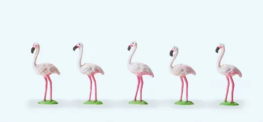 Flamingos