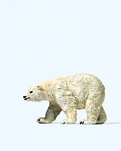 Eisbär