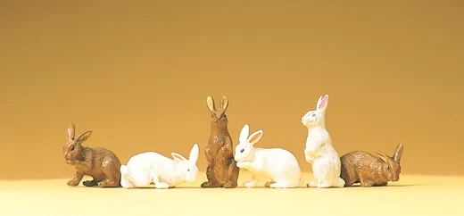 6 Kaninchen