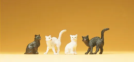 4 Katzen