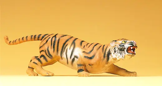 Tiger angreifend