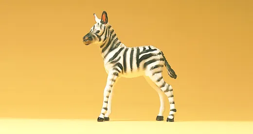 Zebrafohlen