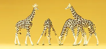 Giraffen