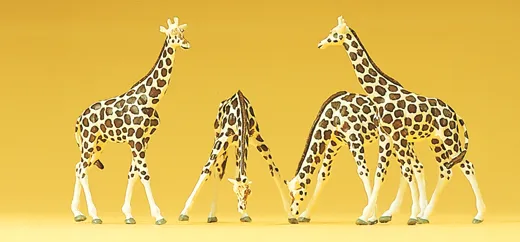 Giraffen