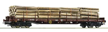 Rungenwagen, SBB