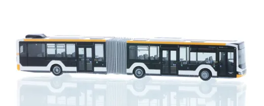 MAN Lion's City 18 ´18 MVG Mainz