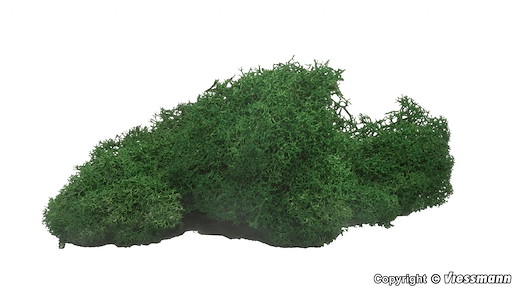 Moos dunkelgrün, 40 g