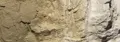 WL14.C1223-10.jpg