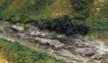 WL14.C1246-20.jpg