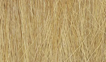Hohes Gras, Herbstgold