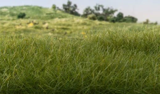 2mm Static Grass Dark Green