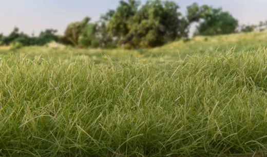 2mm Static Grass Medium Green